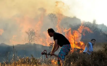 Ortakent’te Tarla Yangını Korku Dolu Anlar Yaşattı