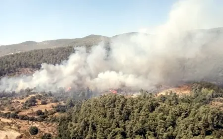 Termik santral yakınındaki Sekköy’de yangın çıktı