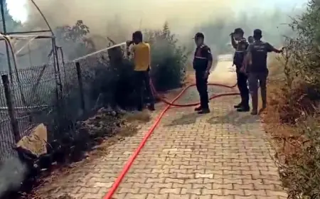 Aydın’da alevler evlerin bahçesine kadar girdi köy boşaltılıyor