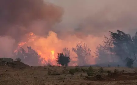 Milas’taki orman yangını kabus oldu devam ediyor