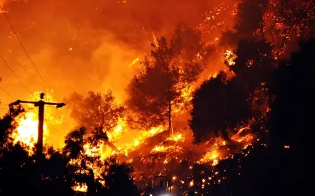 Gökova’nın Ciğerleri Sabaha Kadar Yandı, Köyler Felaketin Eşiğinden Döndü