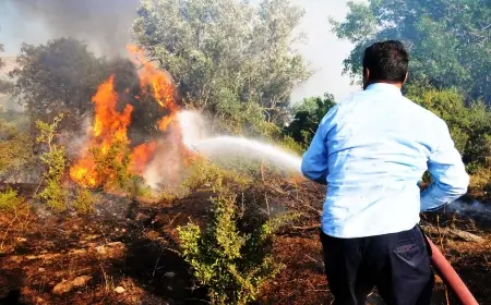 Bodrum’da yol kenarına atılan sigara yangın çıkardı