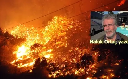 ORMANLAR YANDI, ŞİMDİ KINA YAKMA ZAMANI !