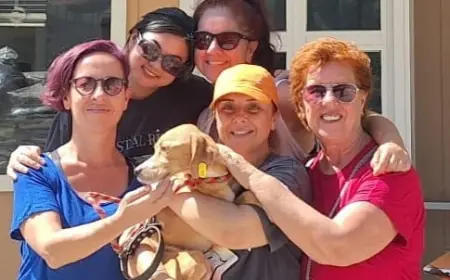 Belediye 7 Ayda 157 Patili Dost Yeni Yuvaya Kavuşturdu