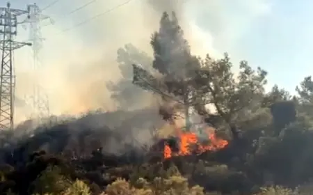 Enerji nakil hattı Marmaris ormanlarını yakıyordu