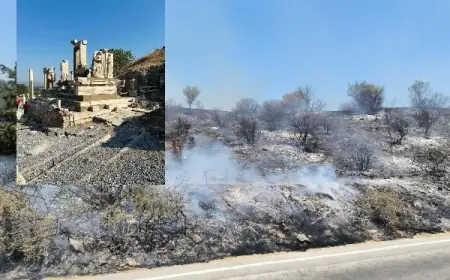 8600 yıllık Antik Efes Kenti’ni sigara izmariti kül ediyordu