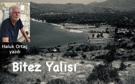 HALİL’İM, BİTEZ YALISI BIRAKTIĞIN GİBİ DEĞİL !