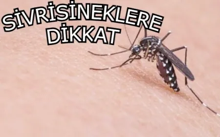Batı Nil Virüsü can almaya devam ediyor, vakalar Türkiye sınırına dayandı