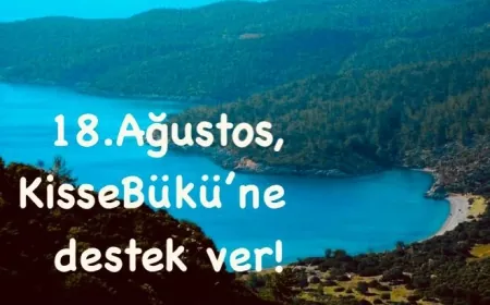 Kissebükü'nde eylem hazırlığı. Haluk Ortaç yazdı....