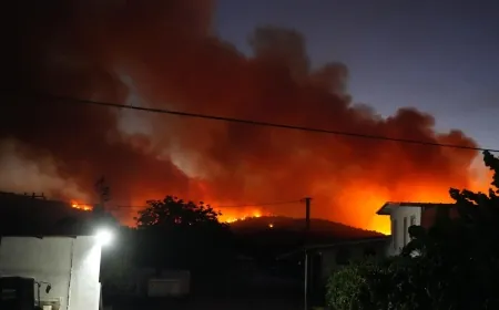 Milas ormanları alev alev yanıyor alevler yerleşim yerlerini tehdit ediyor