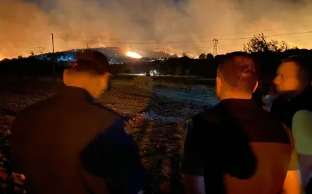 Milas yangınında iki köy boşaltıldı