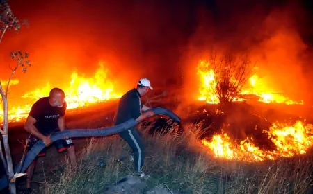 İzmir’deki Yangınların Nedeni Piknik Ateşi, yangınlardaki son durum...