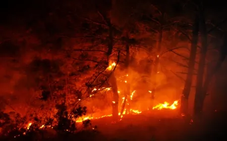 Gündoğan'da korkutan orman yangını, yürekler ağıza geldi…