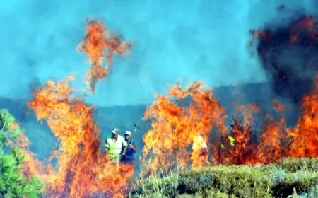 Aydın'daki Yangında Üç Kişi Tutuklandı
