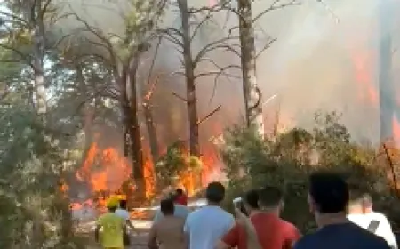 Gölköy Cennetkoy alev alev