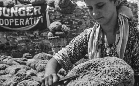 Saner Gülsöken "Bodrum'un Süngercilik Tarihini " yazdı, anlattı