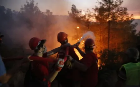 Yatağan’daki yangını arıcılar çıkarmış, 3 gözaltı
