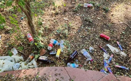 Bu çocuk parkları Kenya’da değil  Torba’da