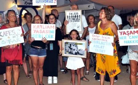 Gümüşlük’de sokak hayvanları yasasına karşı sert protesto