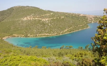 CENNET KOY ORMANLARI İMARA AÇILDI