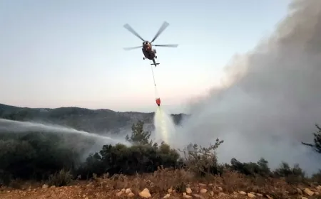 Milas Sekköy'de orman yangını başladı