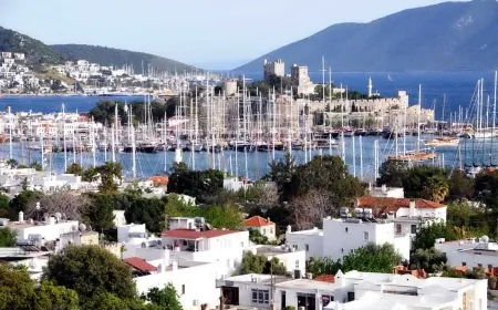 Batı Nil Virüsü vakalı bir kişi Bodrum’da tatil yapmış