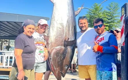 Bodrum’a orkinos akanı başladı. Bu kezde olta ile 317 kilogramlık orkinos yakalandı