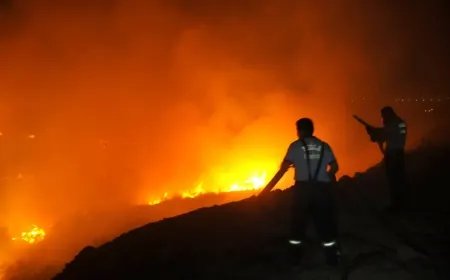 Valilik havai fişek atılmasını yasaklamıştı, attılar yangın çıktı