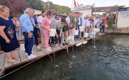 Bodrum’da yeni av sezonu başladı , 40 bin yavru levrek denize bırakıldı