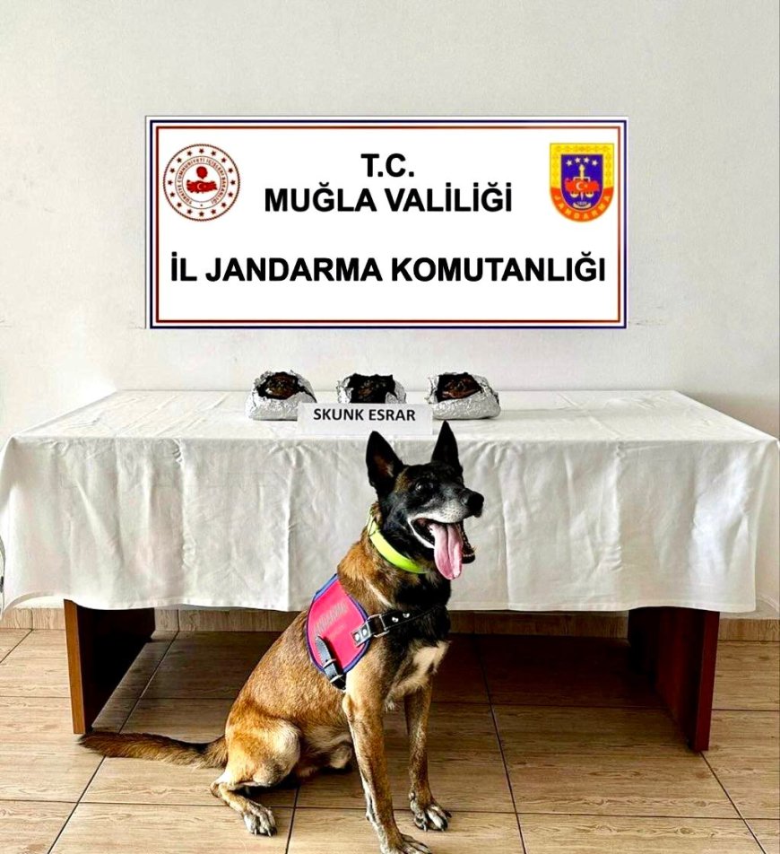 Yolcu Otobüsünde Uyuşturucu Operasyonu, 2 Kişi  Gözaltında