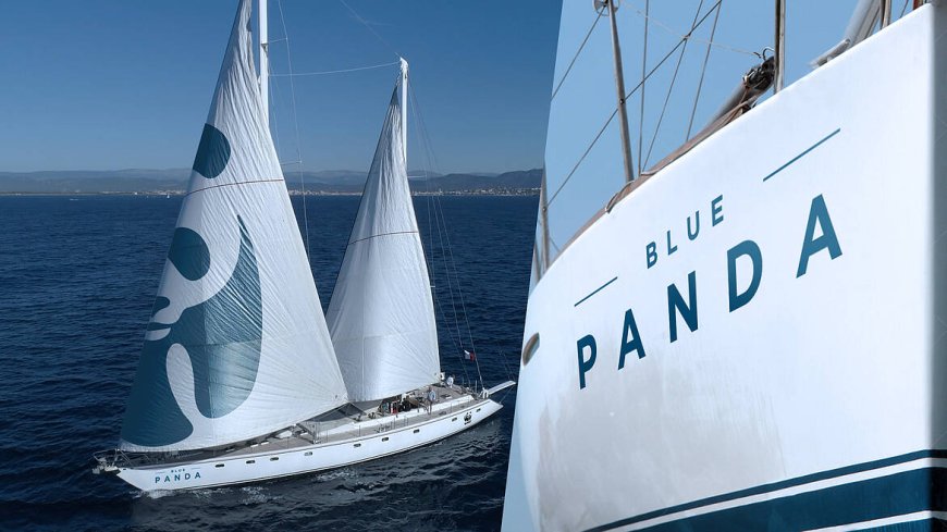 Blue Panda, Mavi Ormanlar için Türkiye'ye Yelken Açtı
