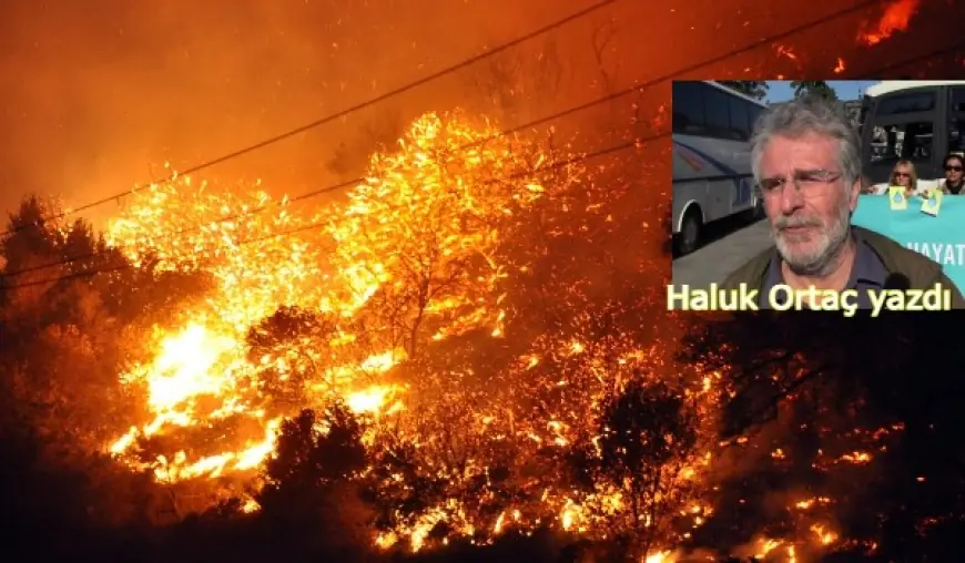 ORMANLAR YANDI, ŞİMDİ KINA YAKMA ZAMANI !