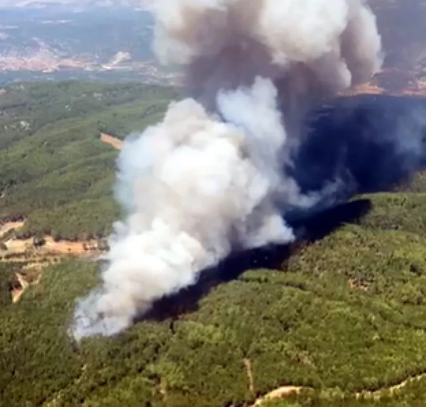 Muğla’da 2 yerde orman yangını daha başladı