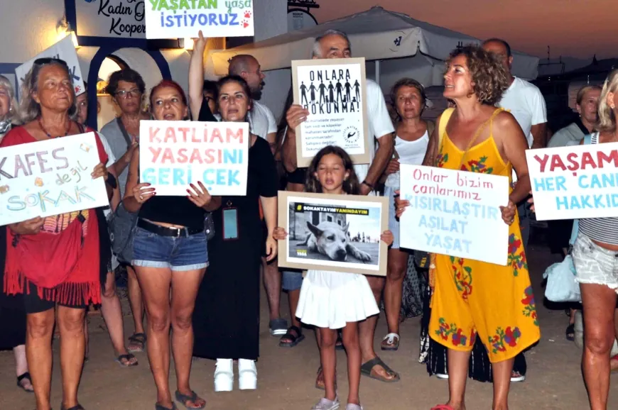 Gümüşlük’de sokak hayvanları yasasına karşı sert protesto