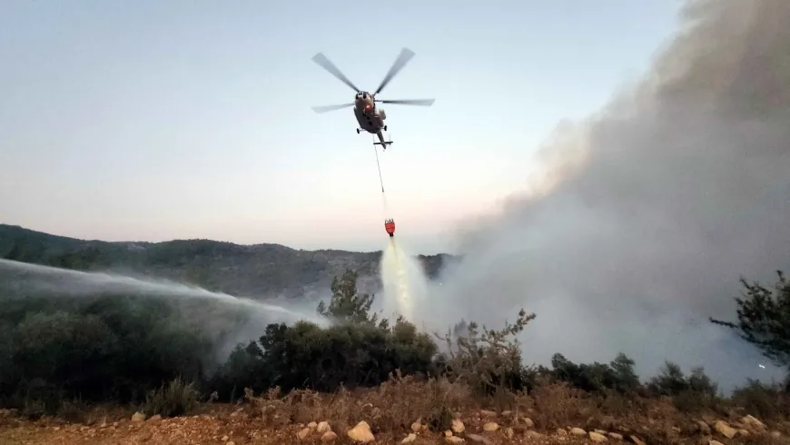 Milas Sekköy'de orman yangını başladı