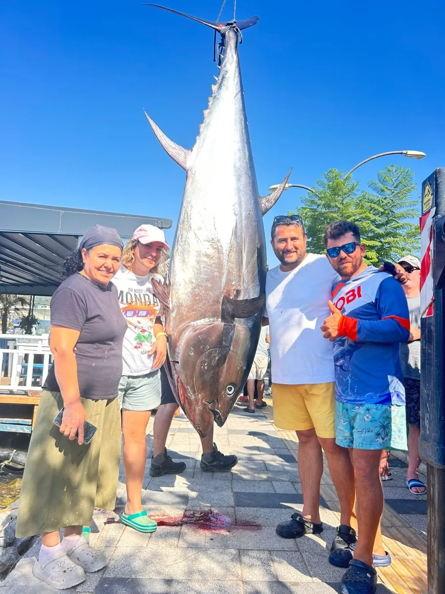 Bodrum’a orkinos akanı başladı. Bu kezde olta ile 317 kilogramlık orkinos yakalandı
