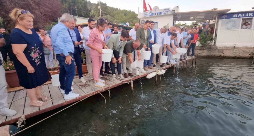 Bodrum’da yeni av sezonu başladı , 40 bin yavru levrek denize bırakıldı