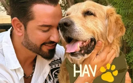 Yasaya tepki amacıyla Çav Bella’yı Hav Bella yaptı