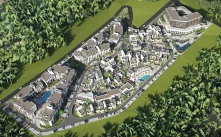 Milas'ta ormanlık alana otel projesi