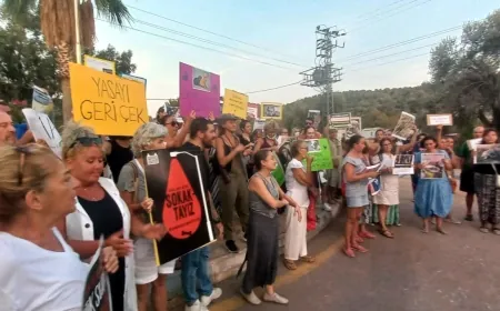 Bodrum sokak hayvanları için sokakta