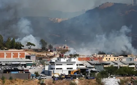 Muğla'dan sonra İzmir'de de yangın talanının önü açılıyor
