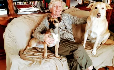 Katliamdan yurt dışına kaçış: Türkiye ve Avrupa arasında yaşam köprüsü