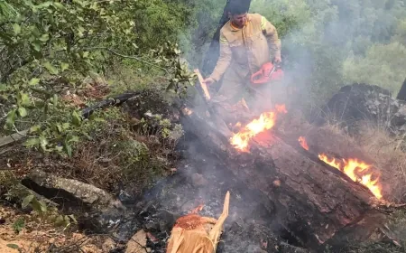 Muğla’da yıldırımlar ormanları yaktı 5 hektar kül oldu
