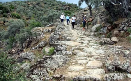 Bunuda gördük…. 3 bin yıllık antik yola dozerle girdiler, üzerine asfalt döktüler