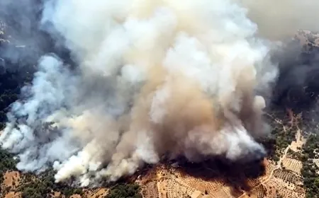 Muğla’da orman yangını başladı