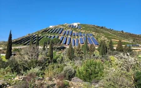 Bodrum’un tek kalan merası Kavakderesi’ne GES için ÇED olumlu raporu verildi