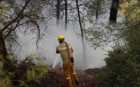 Muğla’da Orman Yangını: Yerkesik-Akbük Yolu Trafiğe Kapatıldı