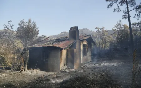 Muğla’daki orman yangını saatlerdir sürüyor