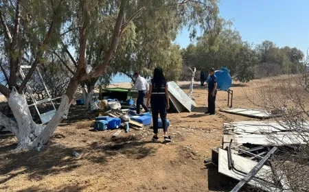 Çelebi adasındaki gecekonduyu kaymakamlık kaldırdı