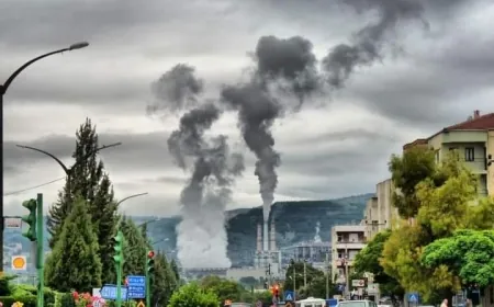 Yatağan termik santralinde üç günde 184 işçi işten çıkarıldı